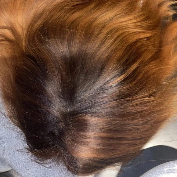 Brunnete Ombré  Lace front bob cut wig - Picture 10 of 11